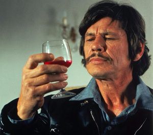 charles bronson commercial.jpg charles bronson commercial.jpg